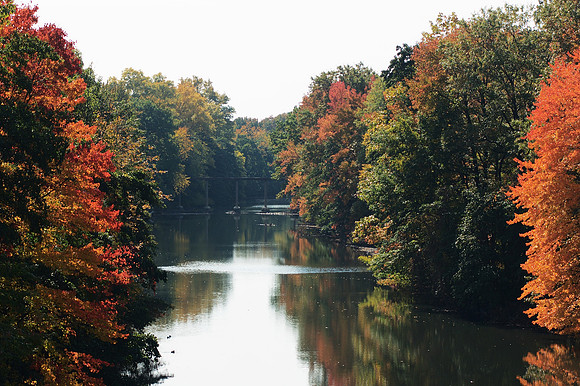 Bronx River