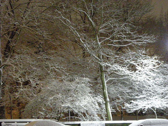 snowy