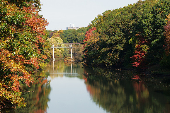 Bronx River