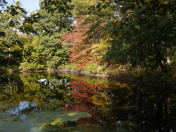 Twin Lakes, NY Botanical Garden