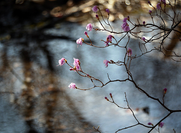 "They call it easing the Spring"