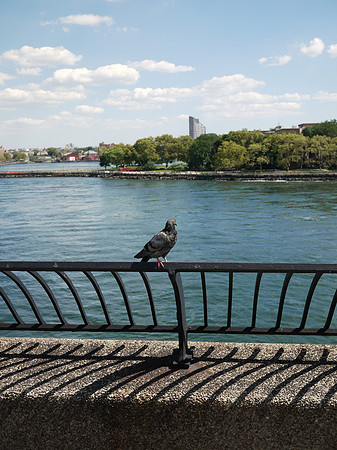 Longing for the Sea