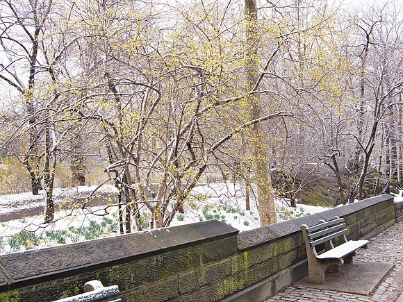 Spring snow, Central Park West