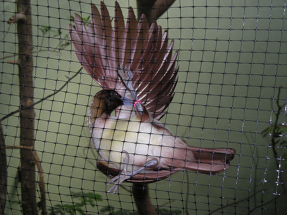 Display