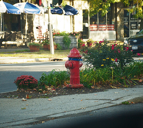 Somewhere along Route 9, New York State.