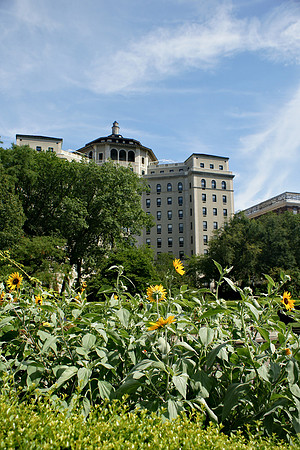 Central Park Conservancy Garden