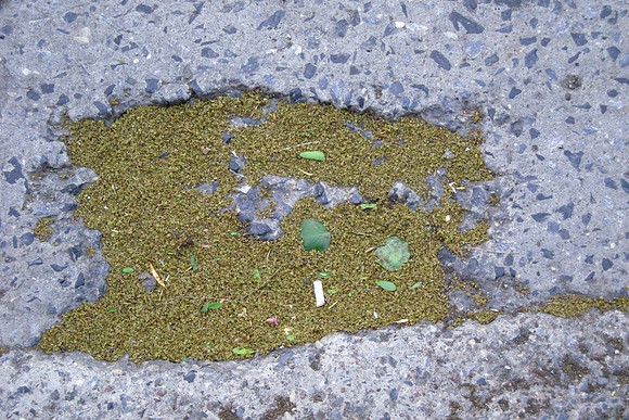 Park pavement