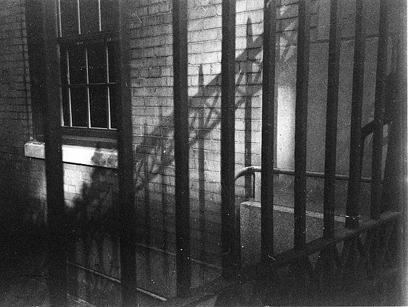 Fence