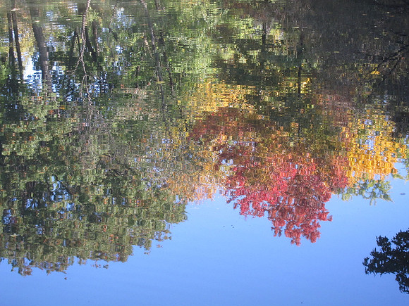Bank Rock Bay, Central Park