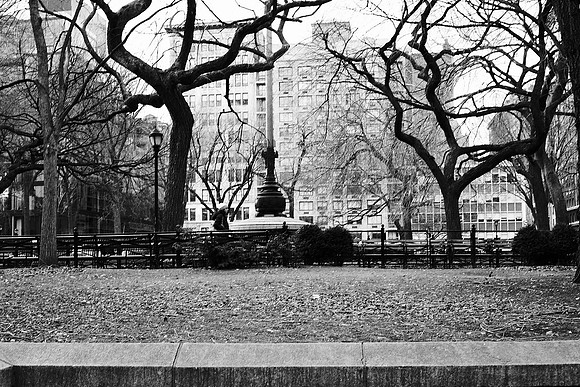 A walk in the park