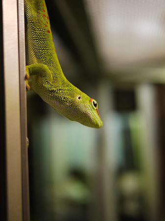 Hangin' out