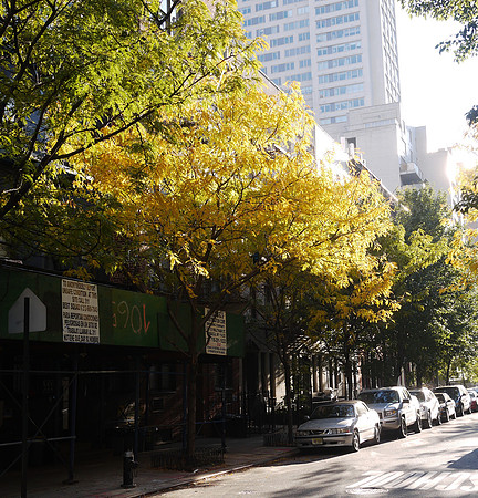 Yorkville