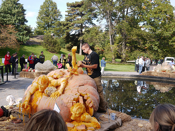 Giant pumpkin carving, NY Botanical Garden