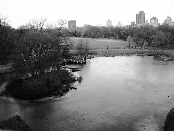 Turtle Pond, frozen over