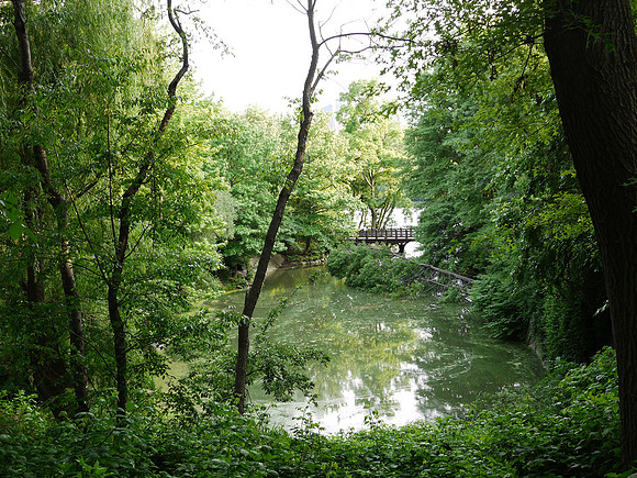 Northern lobe of Central Park Lake and Bankrock Bridge