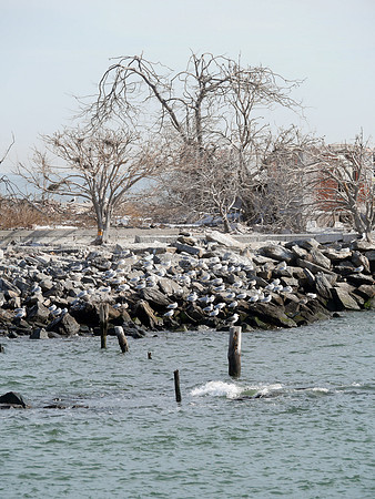 Swinburne Island, NY Harbor
