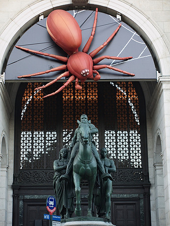 American Museum of Natural History