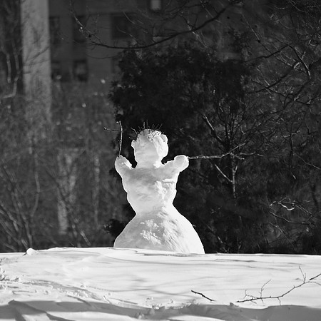 Conducting the Trees