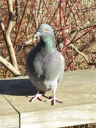ready for my closeup...