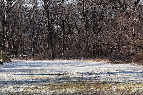 Maintenance meadow, Central Park