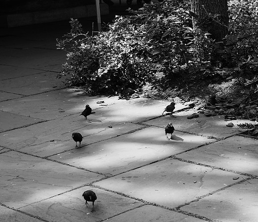 THEY'RE COMING FOR YOU