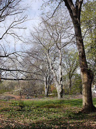 Working on the park, just past Greywacke Arch.
