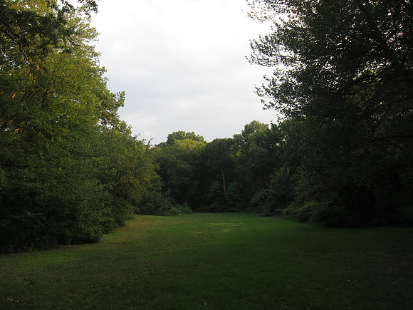 Maintenance Meadow, Central Park