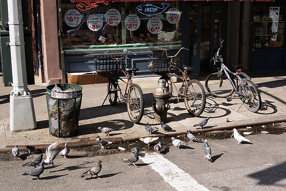 Pigeons and Fish Market, Hell's Kitchen