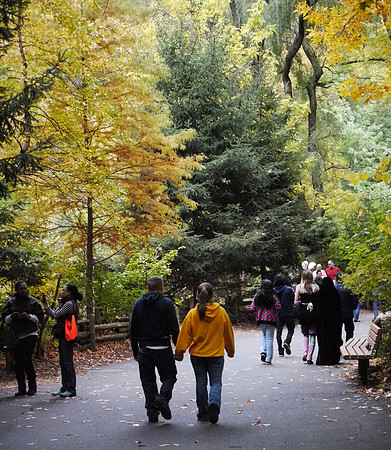 Autumn colors, Bronx Zoo
