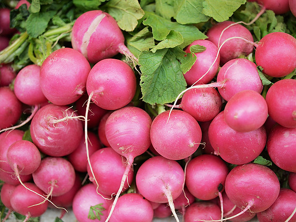 Radishes at the greenmarket