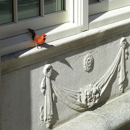 Architectural Ornament