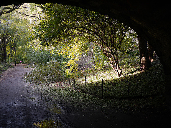 Bridle Path, Central Park
