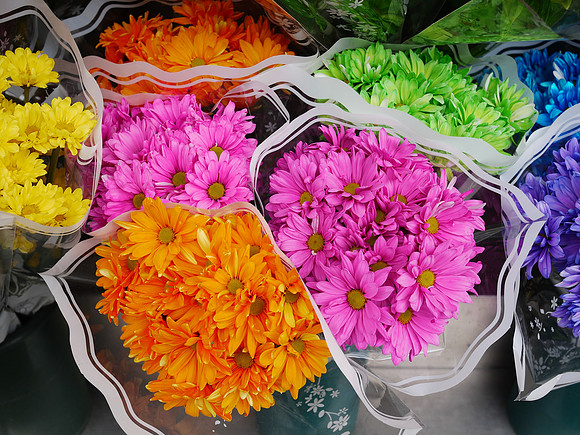 Bodega daisies
