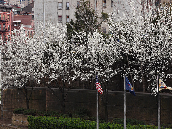 By the Lincoln Tunnel entrance