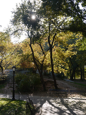 Central Park