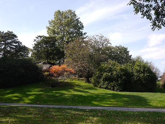 NY Botanical Garden