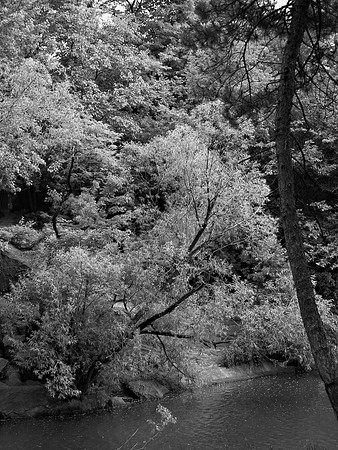 North lobe, The Lake, Central Park