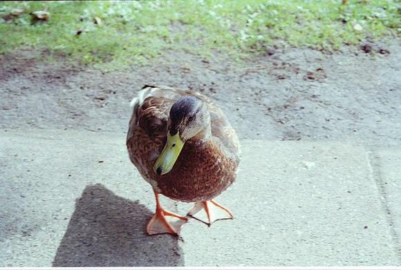 My buddy, Copenhagen 1992