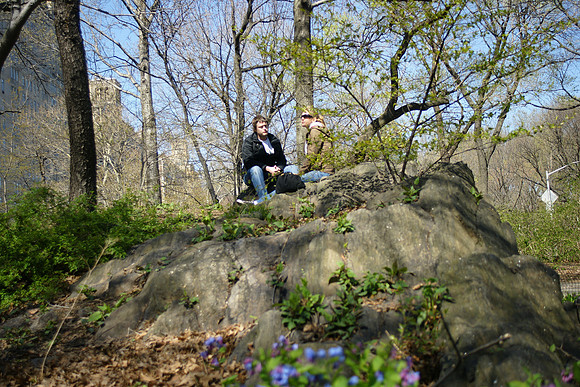 In Central Park