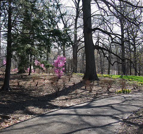 NY Botanical Garden
