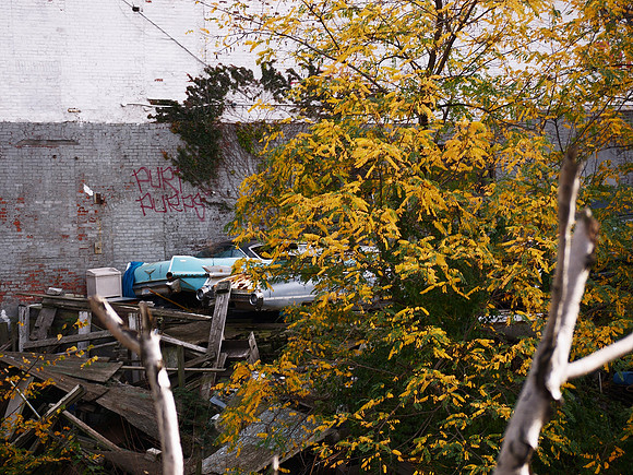 Fall Color and Cadillacs, West 37th Street