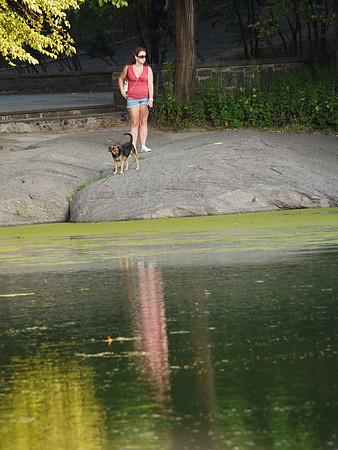 At Turtle Pond