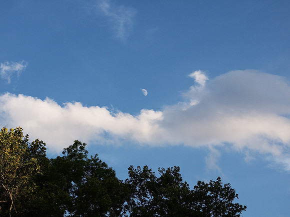 Moon over Cedar Hill, Central Park