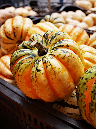 Squash, Union Square Greenmarket