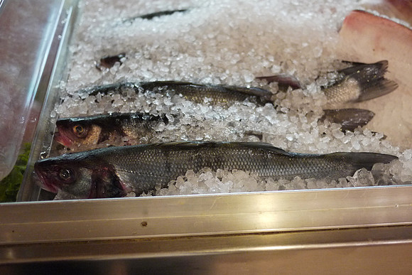Fish on ice