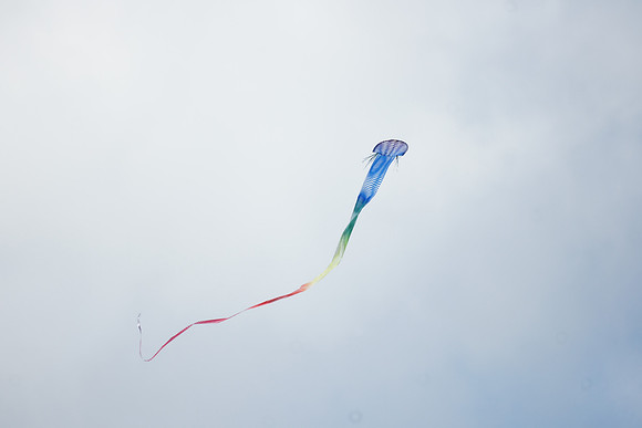Kite over the Great Lawn, Central Park