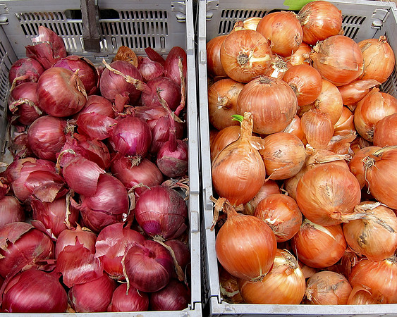 Onions for sale