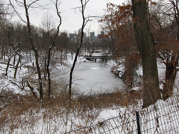 Upper Lobe of The Lake and Bankrock Bridge, Central Park