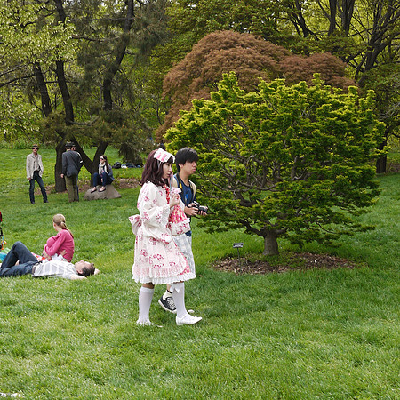Hanami