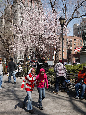 Saturday in Union Square Park